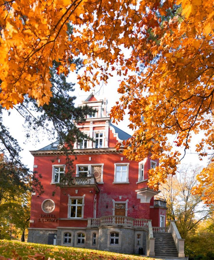 Hotel Debowy Biowellness & Spa Gory Sowie Bielawa  Exteriör bild