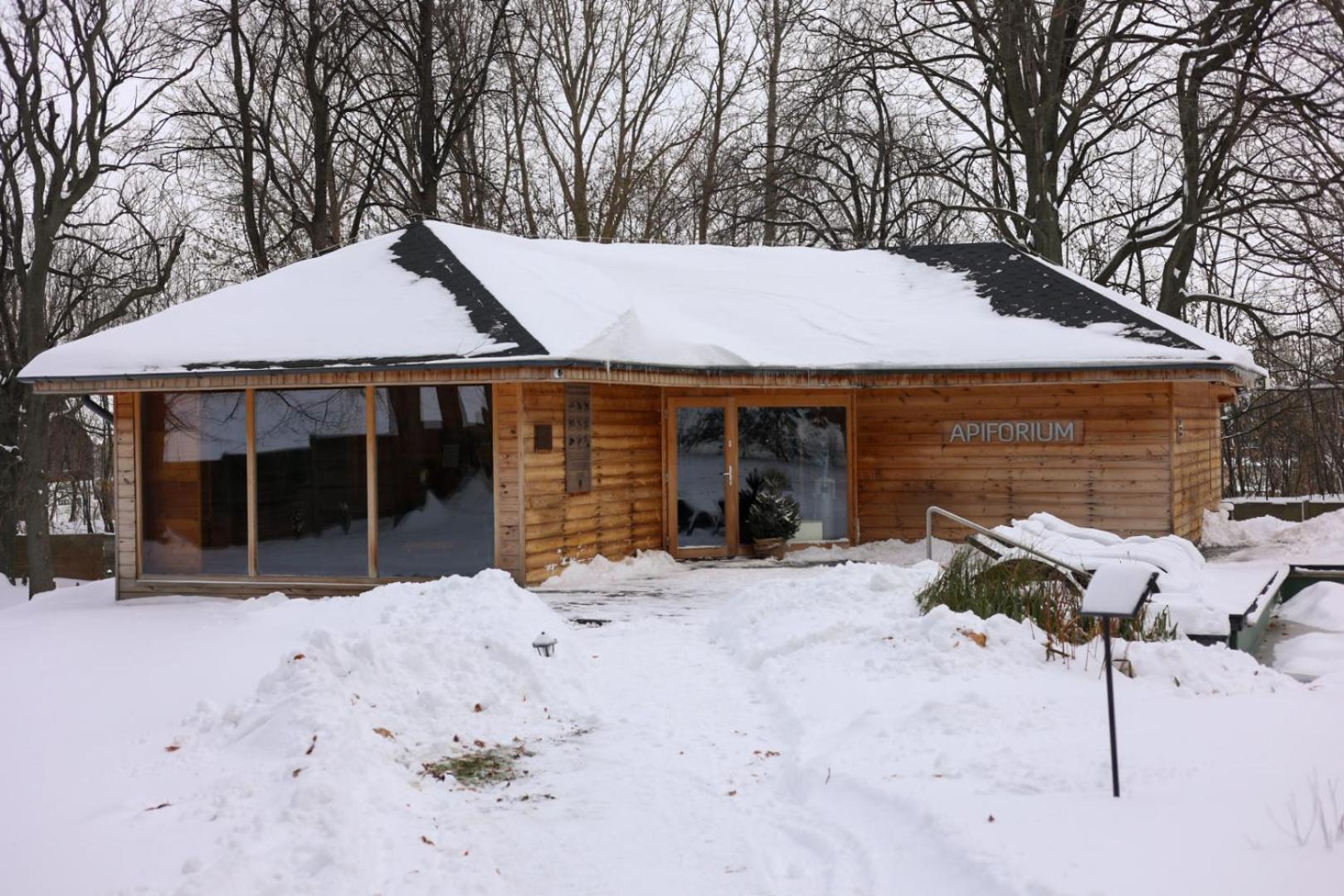 Hotel Debowy Biowellness & Spa Gory Sowie Bielawa  Exteriör bild